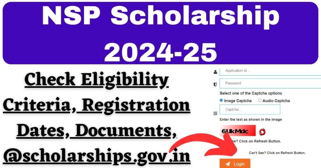 NSP Scholarship 2024 