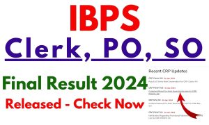 IBPS Result 2024