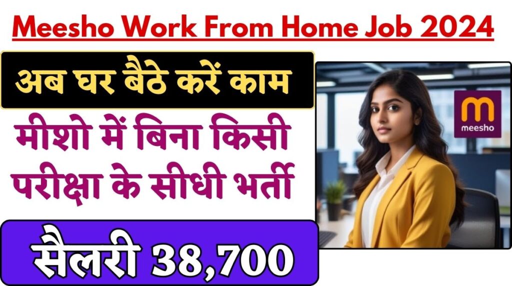 Meesho Work From Home Job 2024