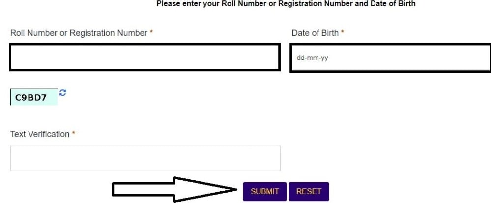 SBI Clerk Mains 2024 Result 