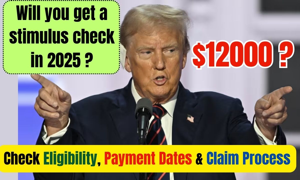 $12000 stimulus check in 2025