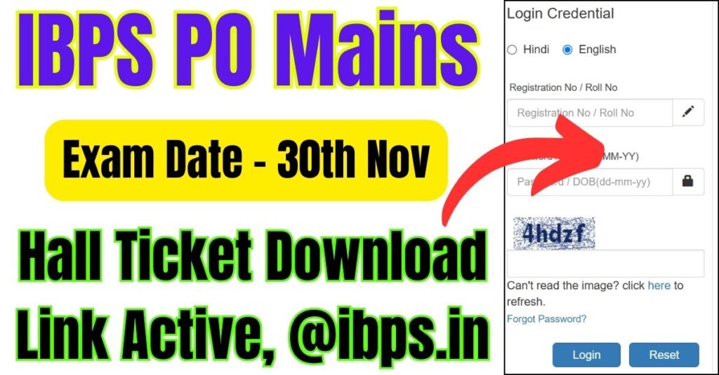 IBPS PO Mains Admit Card 2024 