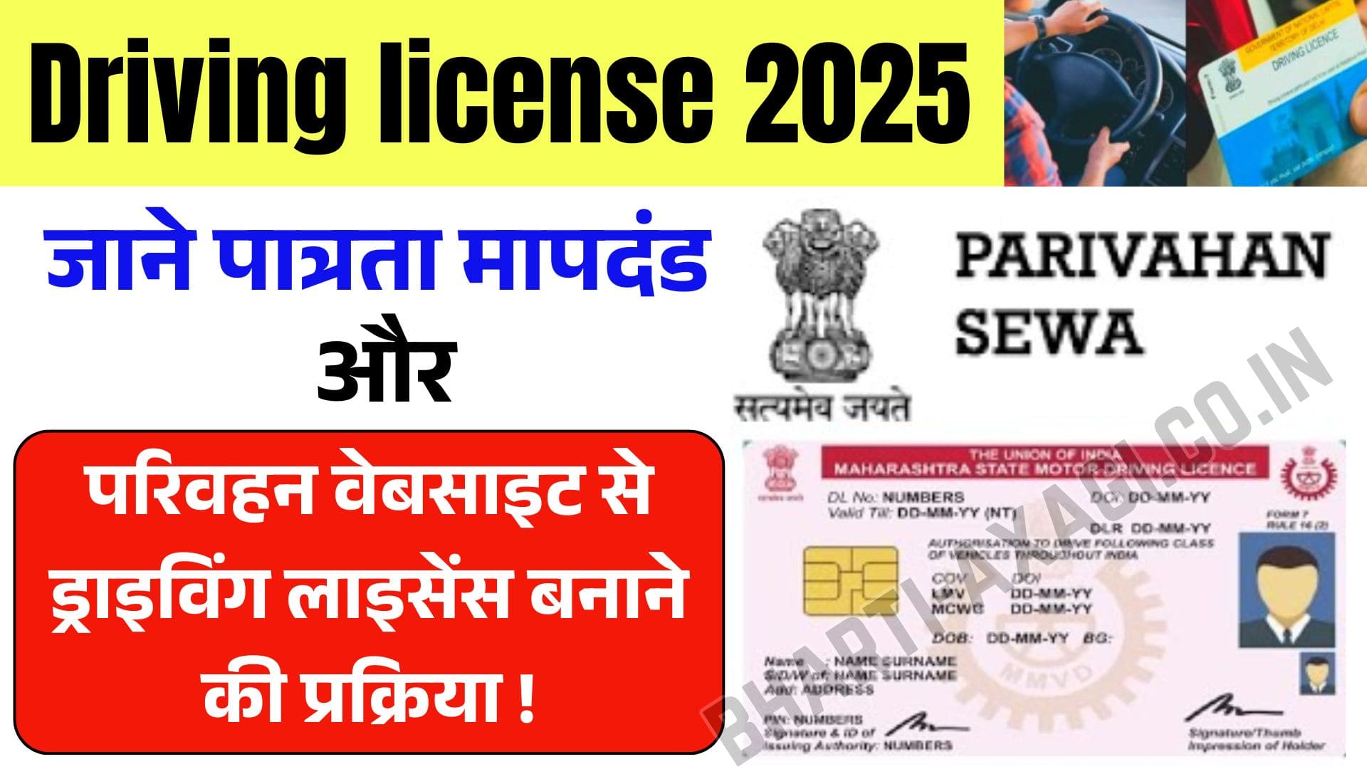 Driving license 2025