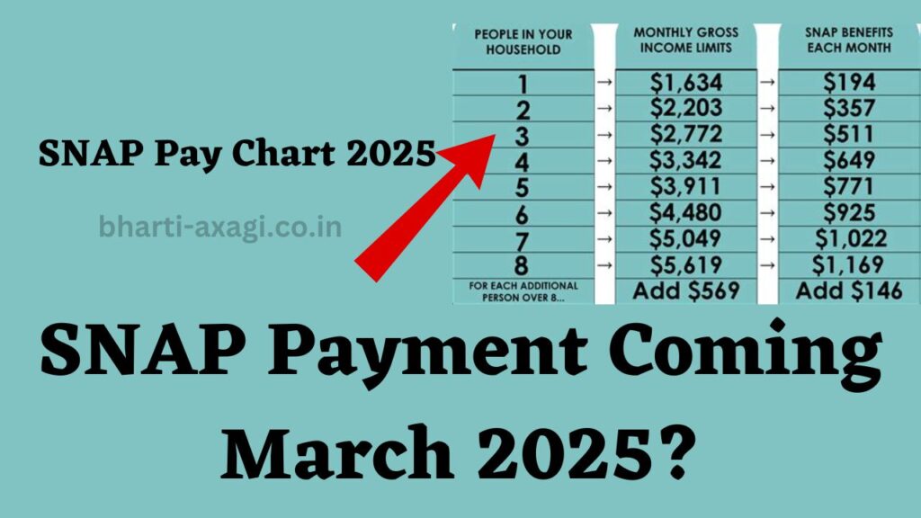 SNAP Pay Chart 2025