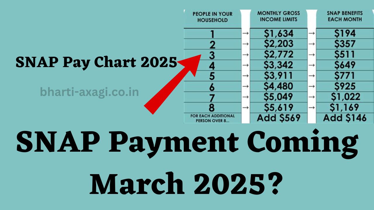 SNAP Pay Chart 2025: SNAP Payment Coming in March 2025?